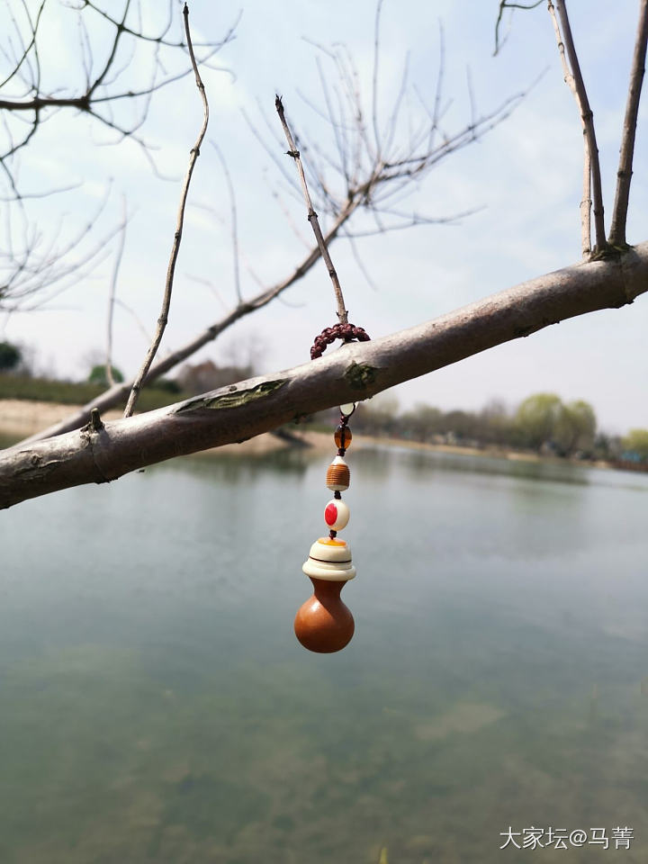 什么树都可以接葫芦😁_葫芦