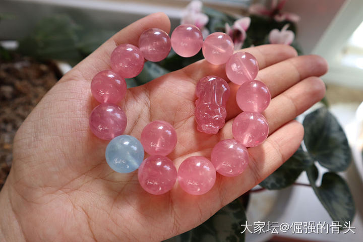 2019年是爱马粉的一年_珠串粉晶