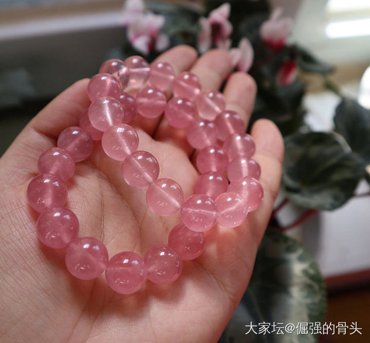 2019年是爱马粉的一年_珠串粉晶