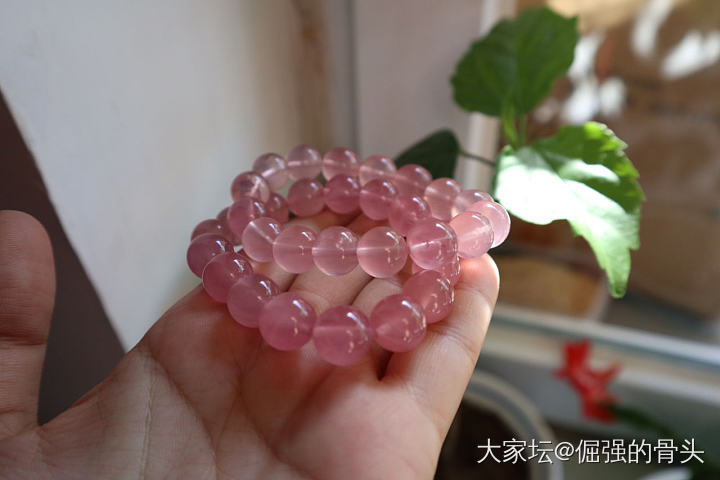 2019年是爱马粉的一年_珠串粉晶
