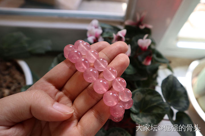 2019年是爱马粉的一年_珠串粉晶