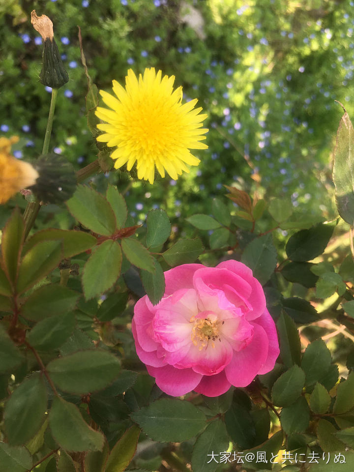 春暖花开的季节_景色