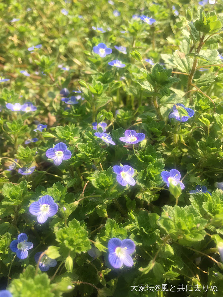 春暖花开的季节_景色