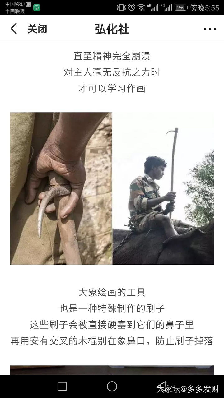 如果去泰国，拜托不要看任何，人组织和经营的大象表演啊……_泰国大象旅游