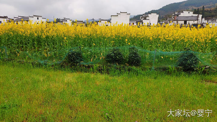 3月18日_景色金