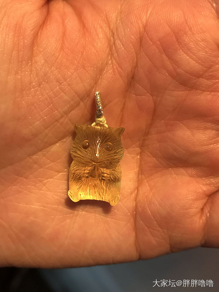 小可爱一枚，还没想好配什么绳子_琥珀吊坠