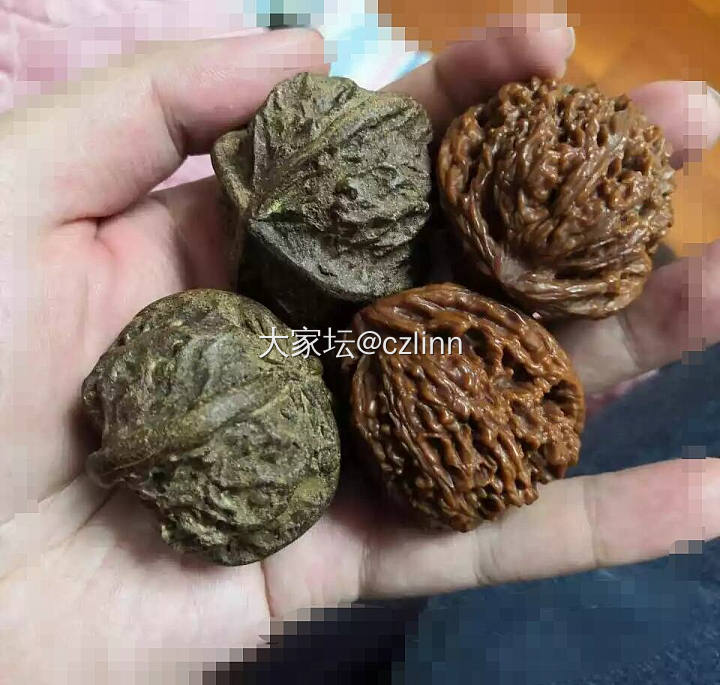 玩玩合香塑_核桃