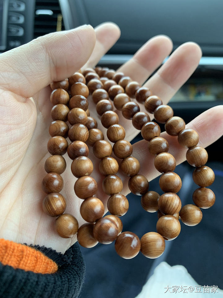 突然发现崖柏挺好伺候滴～_珠串菩提子崖柏