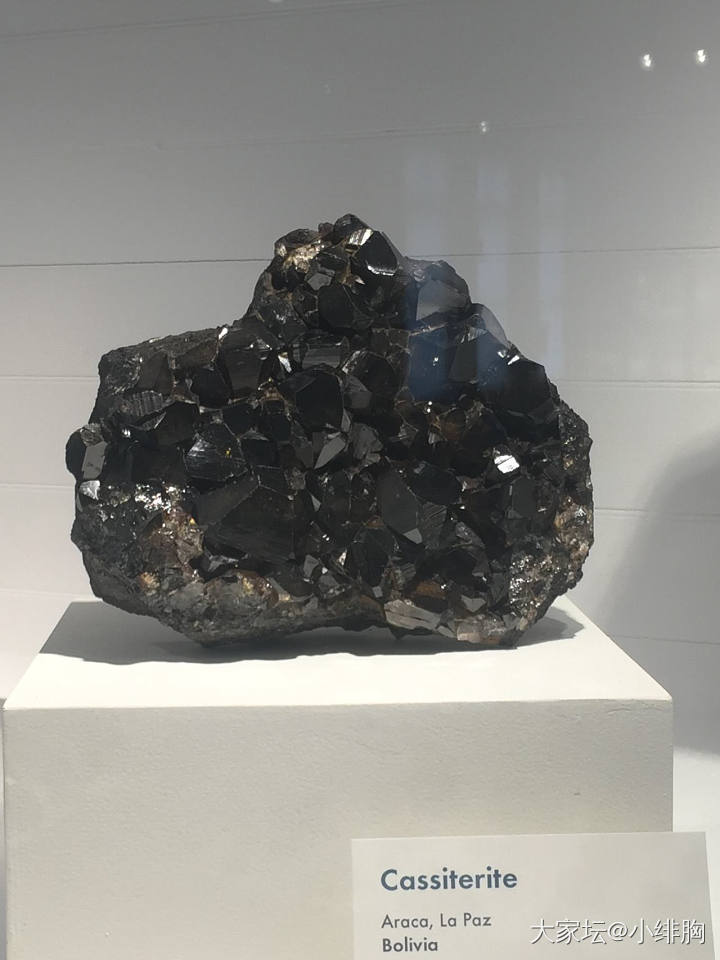 旅游去了哈佛地质博物馆，大家先看看。如果想继续看我就把全部照片发分享给大家_矿物标本彩色宝石博物馆