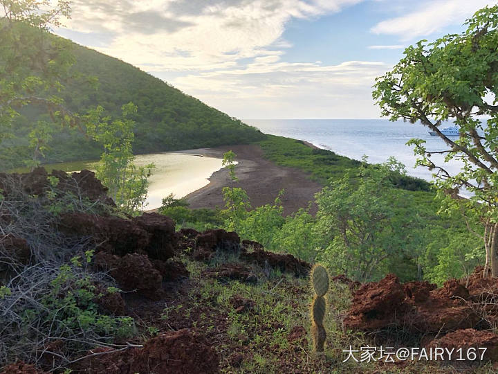 加拉帕戈斯-Rabita_美洲旅游