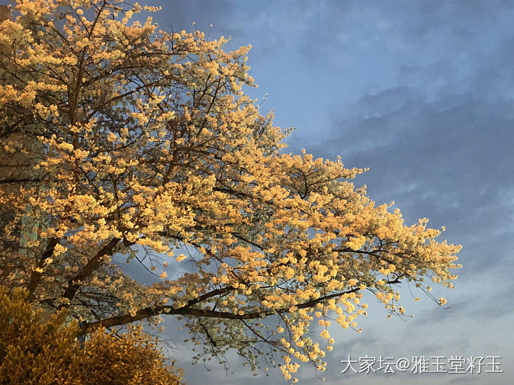 繁花一世～