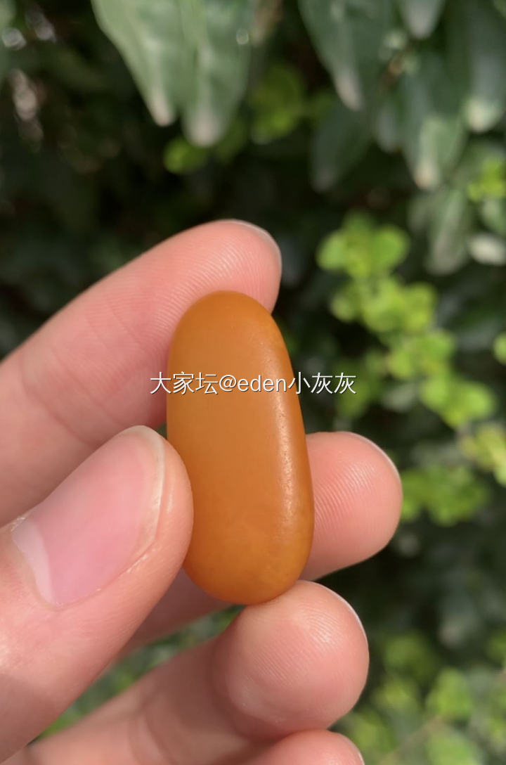 呐，给你一颗小芒果吃😏_和田玉