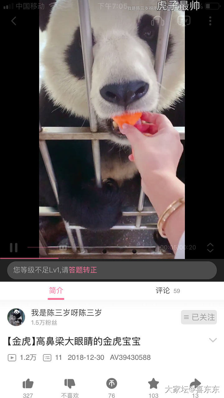 金虎的奶妈 陈三岁你不要再躲了～现身吧！🐼_闲聊