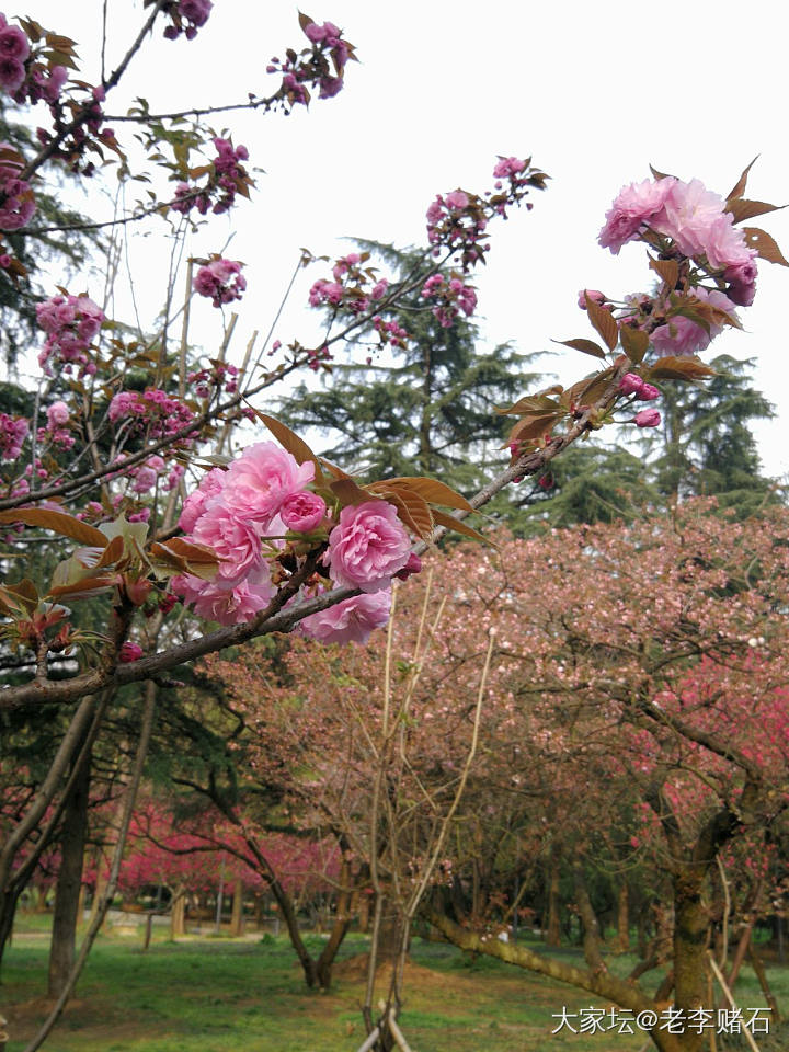 花在溪涧，我在溪旁_旅游