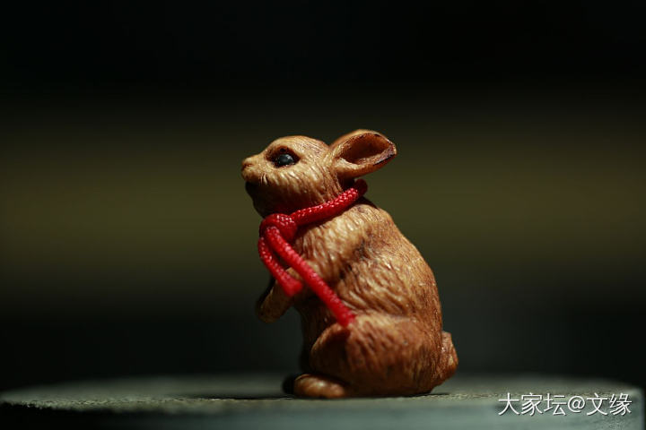 又是小兔子来袭_橄榄核