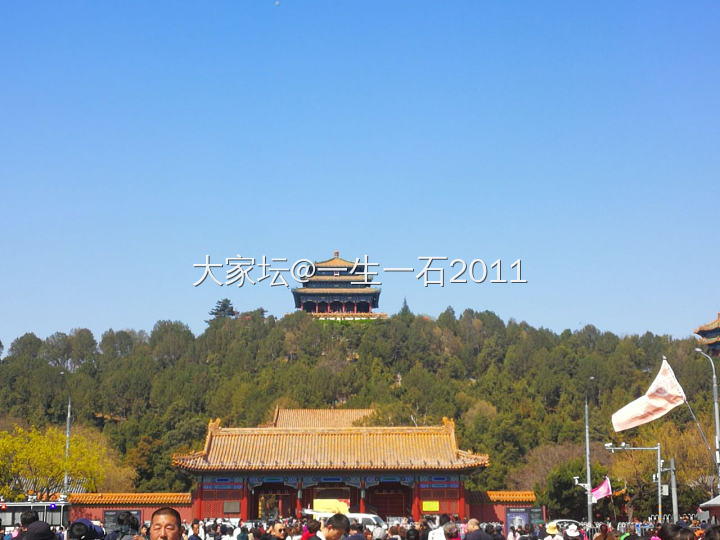 春日晴好莫相负_植物旅游博物馆