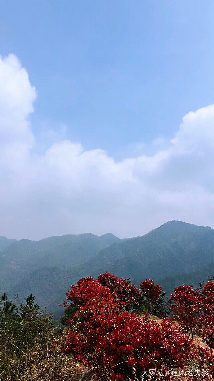 四明山游记_景色旅游