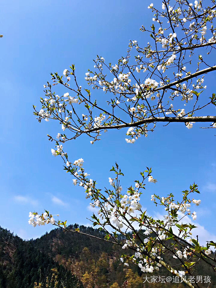 四明山游记_景色旅游