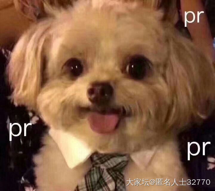 去哪找品质好点的山料呀？_和田玉