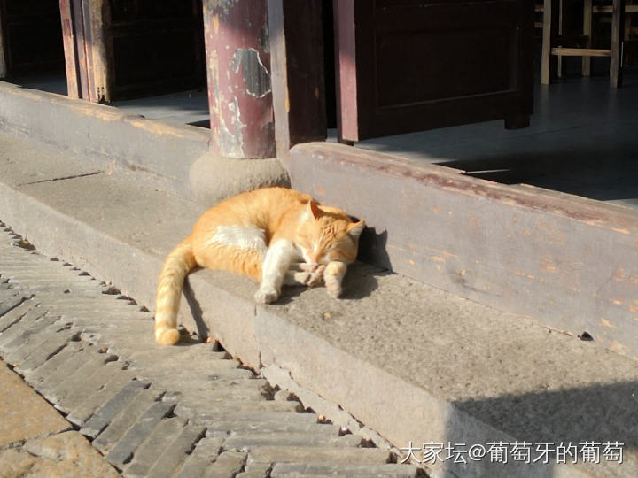 南浔的清晨_景色旅游