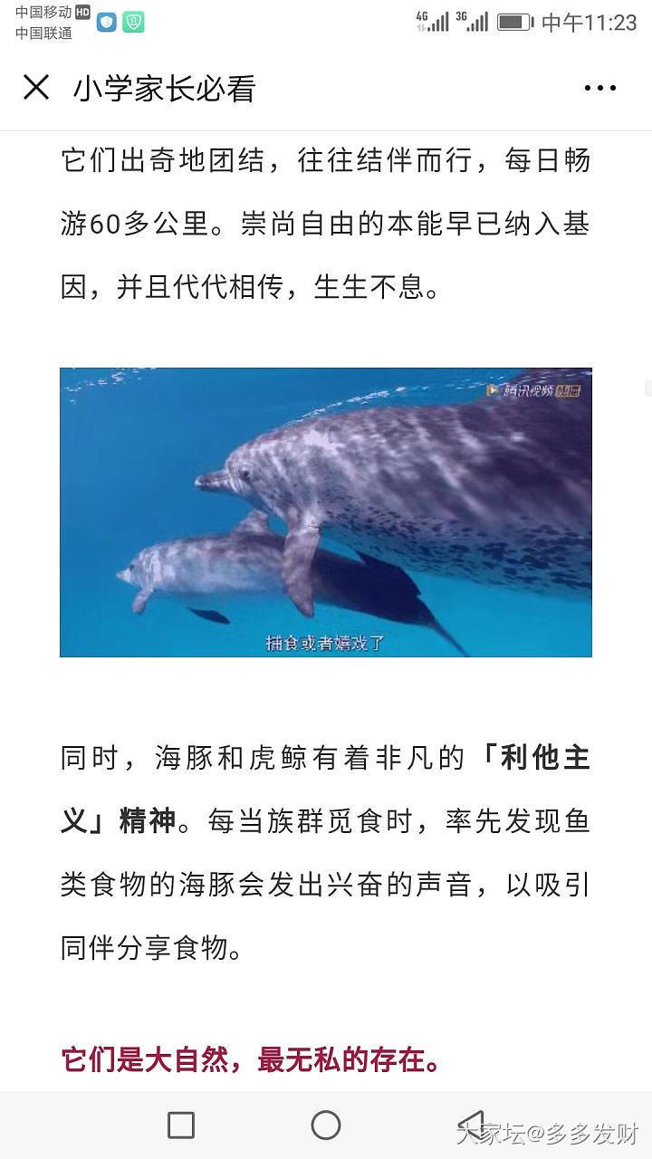 拜托不要去海洋馆看鲸豚表演……不要去看任何形式任何组织的动物表演和互动……_水族类