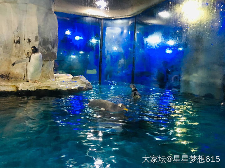 椒江海洋世界一天游_水族类