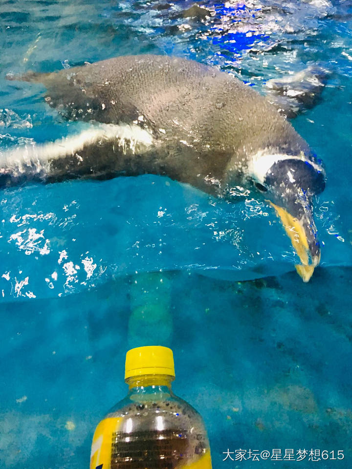 椒江海洋世界一天游_水族类