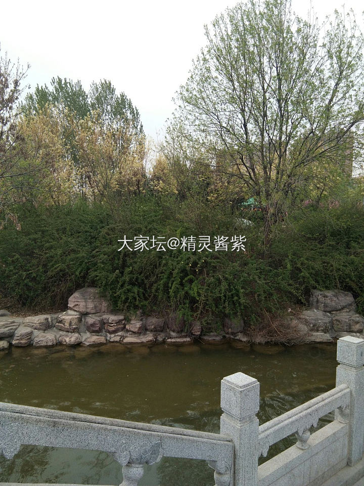 春光无限好~出门溜达，赏花赏景去_旅游