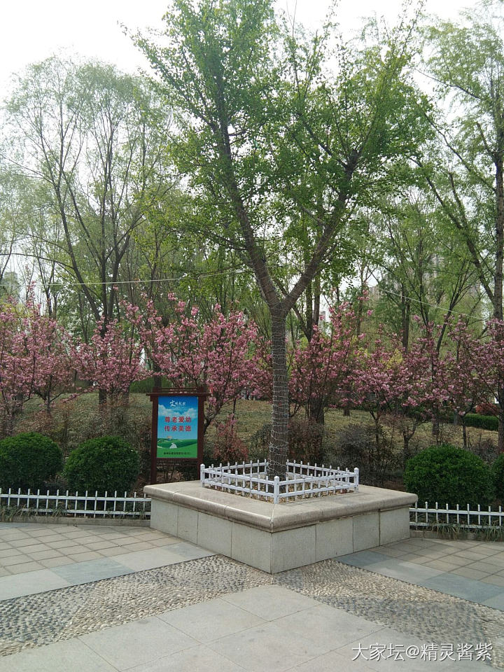 春光无限好~出门溜达，赏花赏景去_旅游