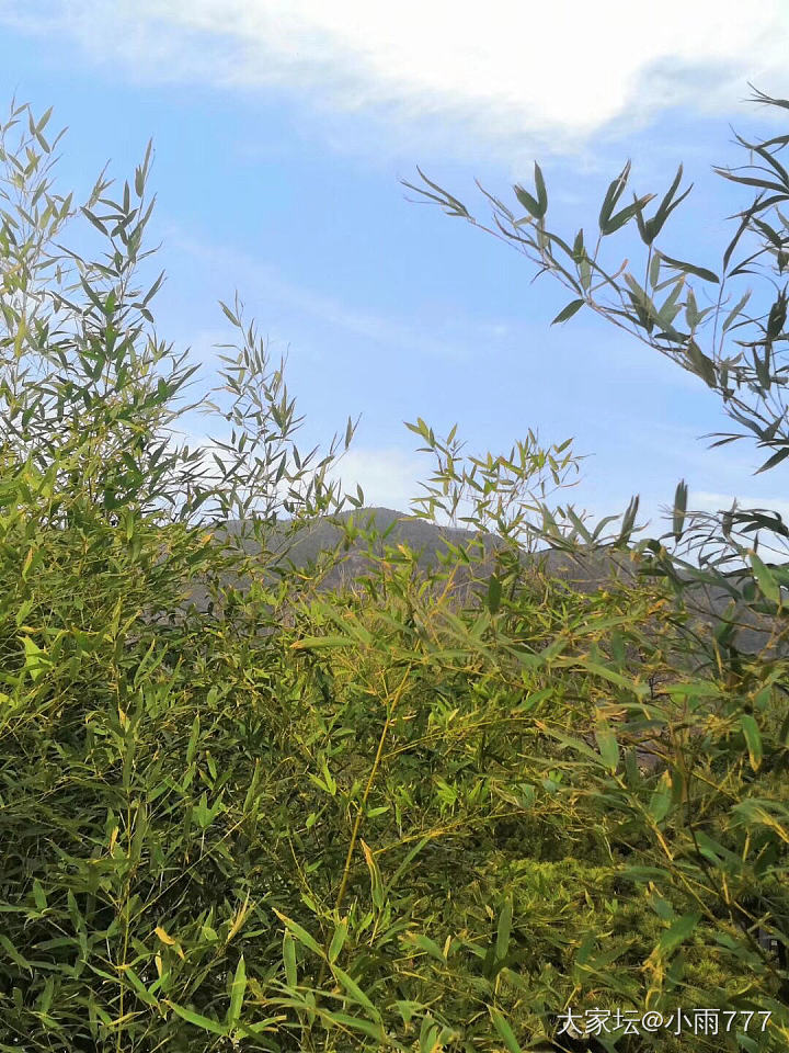 人间四月芳菲尽、山寺桃花始盛开。_旅游