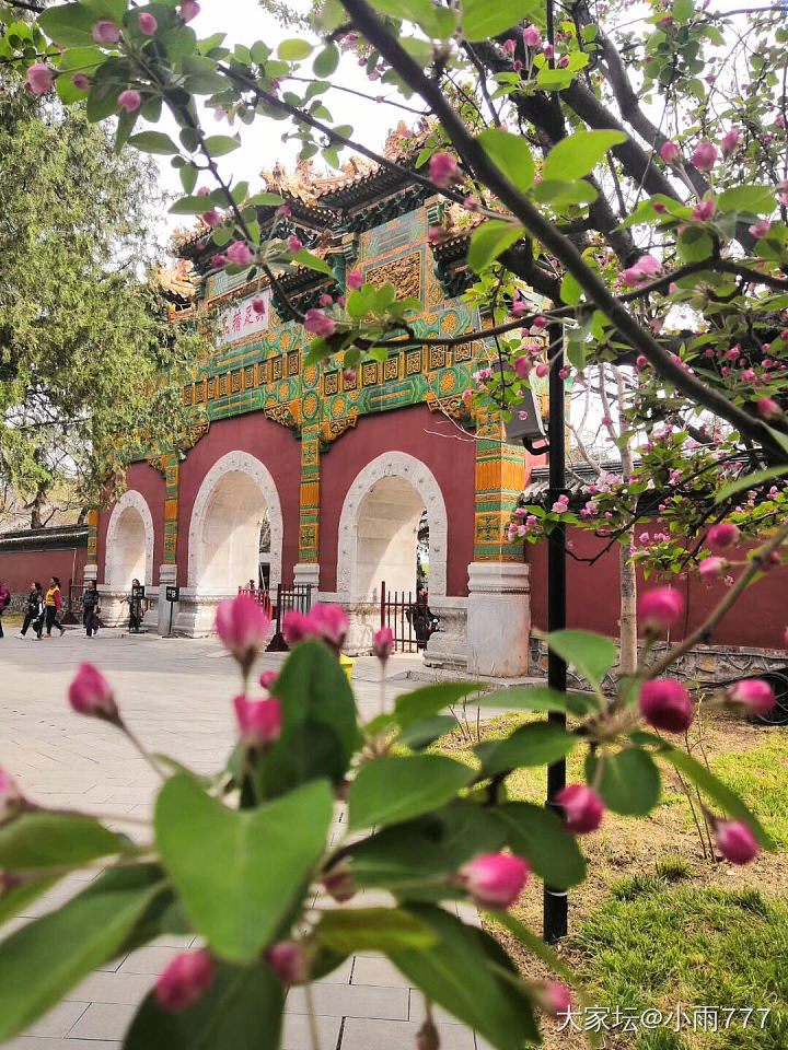 人间四月芳菲尽、山寺桃花始盛开。_旅游