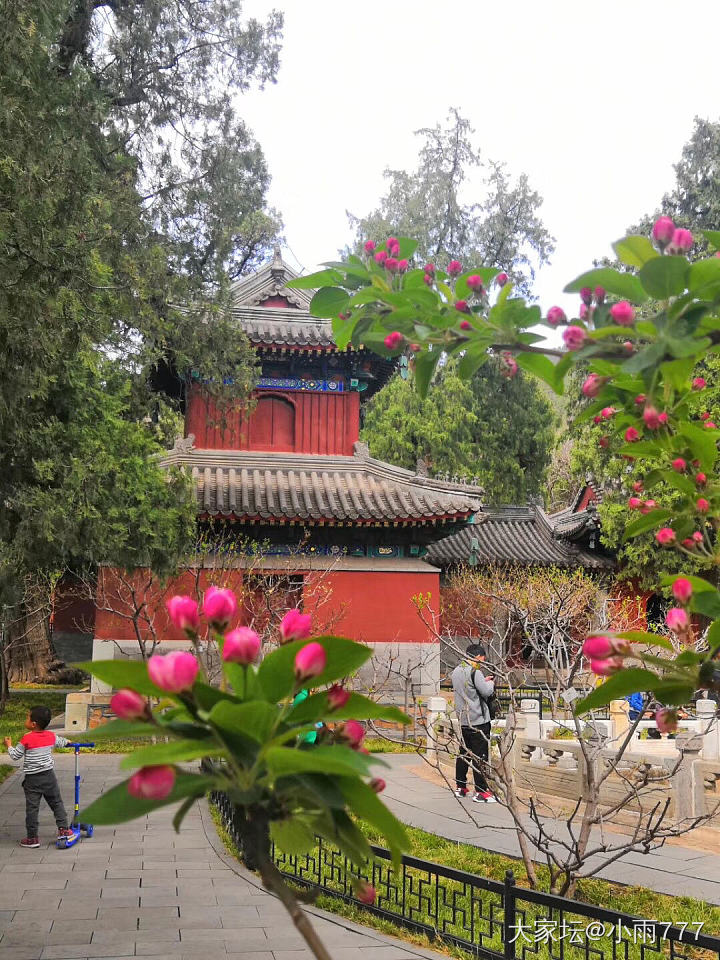 人间四月芳菲尽、山寺桃花始盛开。_旅游