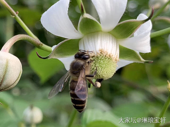 清明祭祖，大山寻宝_闲聊