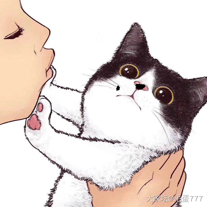 像吗 哈哈(｡･ω･｡)ﾉ♡_猫宠物