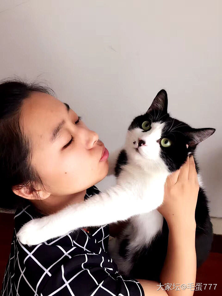 像吗 哈哈(｡･ω･｡)ﾉ♡_猫宠物