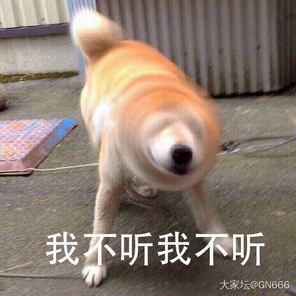 发现了个大秘密_闲聊