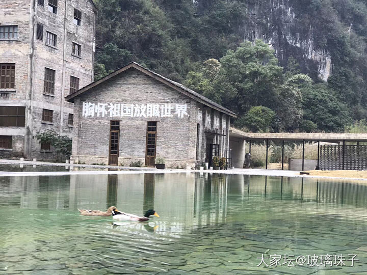 刚看到坛子里居然有人问阳朔有啥好玩的！娃学了桂林山水甲天下以后就在寒假带着去了桂..._桂林旅游