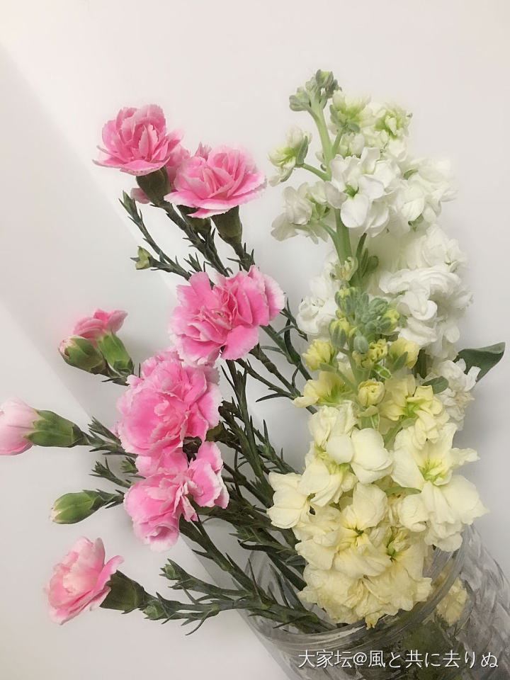 💐鲜花_花