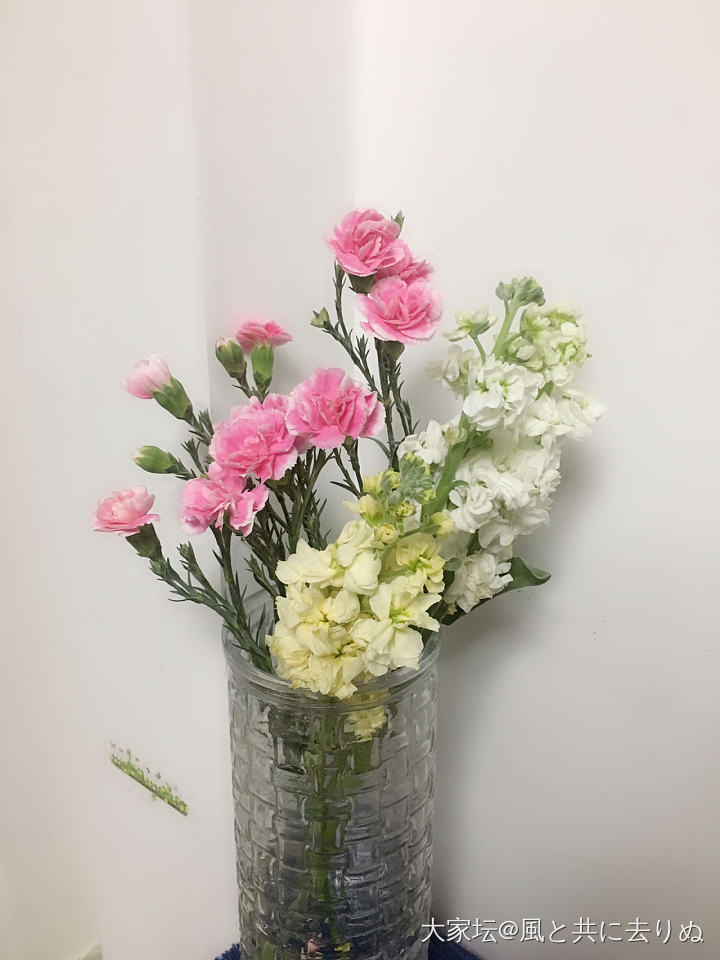 💐鲜花_花