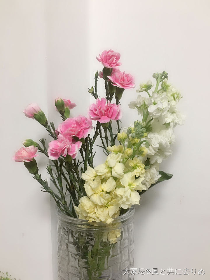 💐鲜花_花