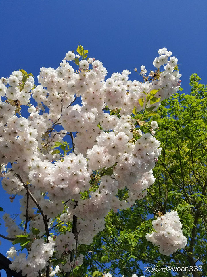 散步🚶_植物