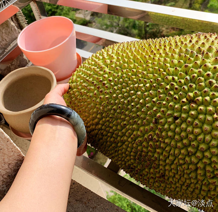 菠萝蜜晒晒太阳会更好吃吧？_水果