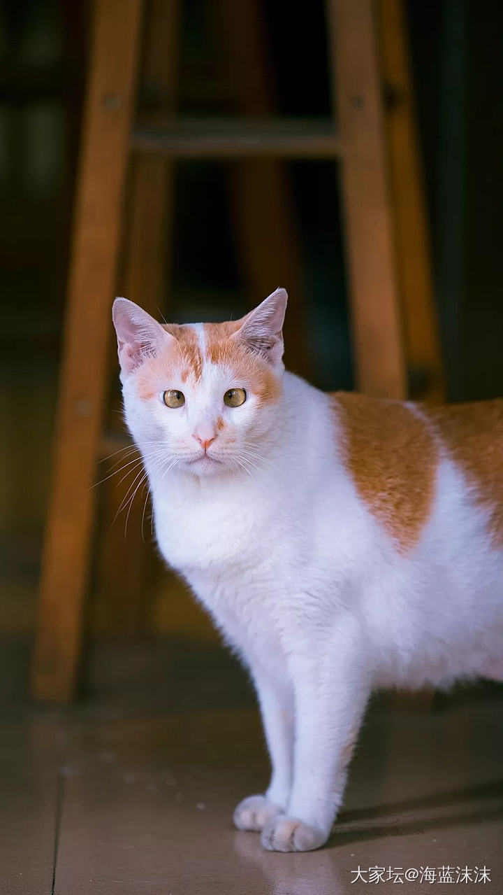 抱歉，该主题已被删除_猫眼