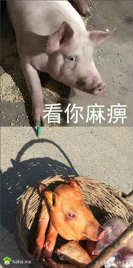 人生，一半是回忆，一半是继续_感情