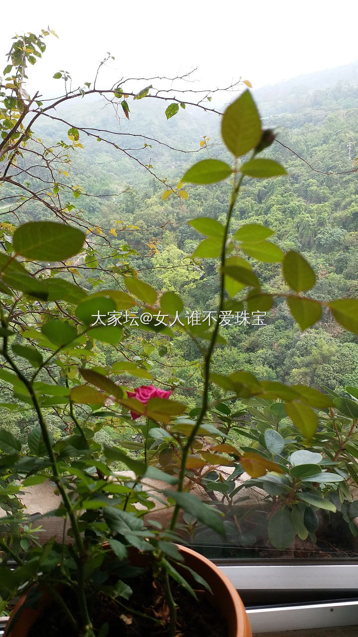 今天五一節，送上我剛剛寫的小詩，祝福大家節日快樂、福慧充盈!_节日