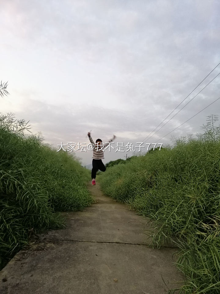 坛友们  劳动最光荣_节日