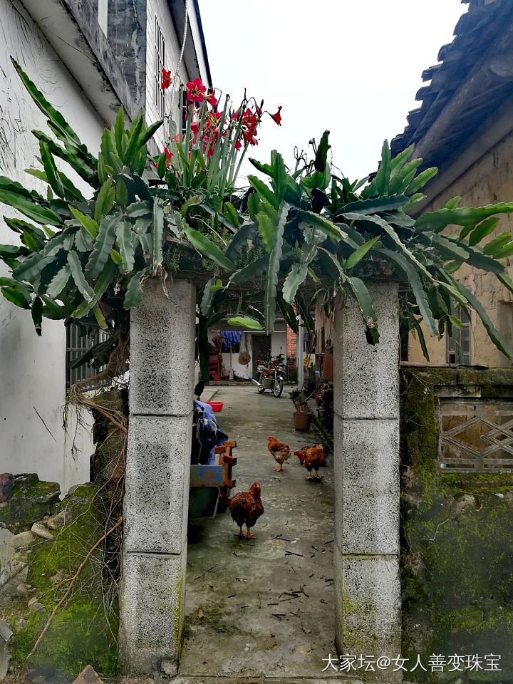 节假日去乡下玩玩挺好的_广东旅游