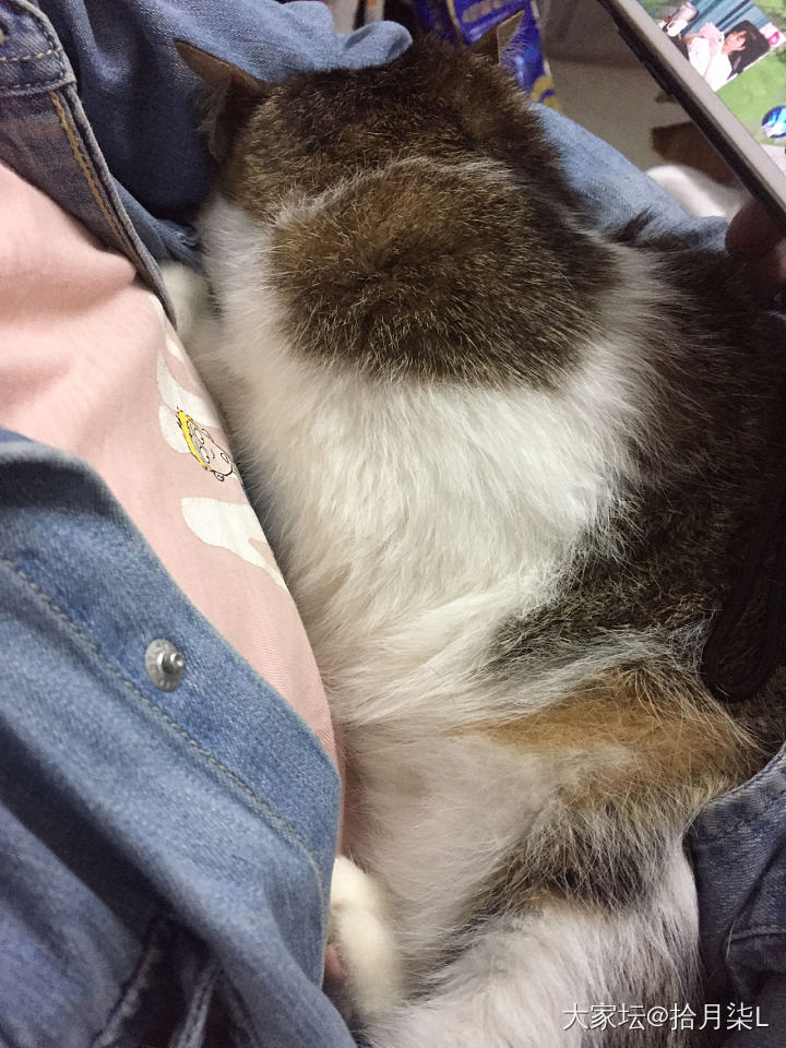 银线第二波——自编长命绳_银
