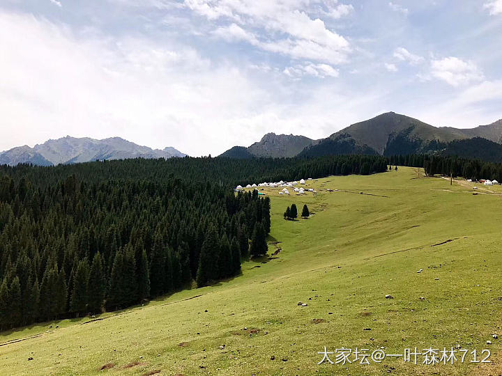 苍鹰翱翔
坡上牛羊
哈萨克的午餐
有生以来风景最美的烧烤摊。_美食旅游