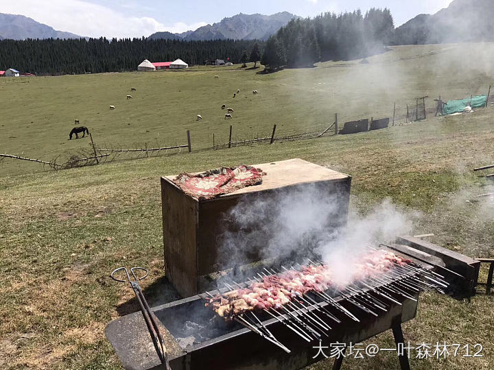 苍鹰翱翔
坡上牛羊
哈萨克的午餐
有生以来风景最美的烧烤摊。_美食旅游